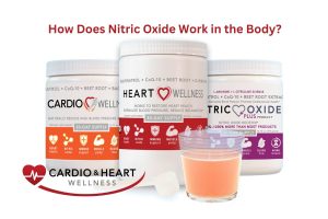 How Does Nitric Oxide Work in the Body - Cardio & Heart Wellness How does nitric oxide work in the body?